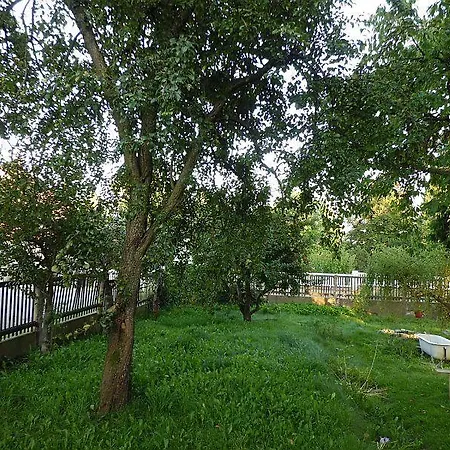Homestay szállás Letni Byt Mimoň